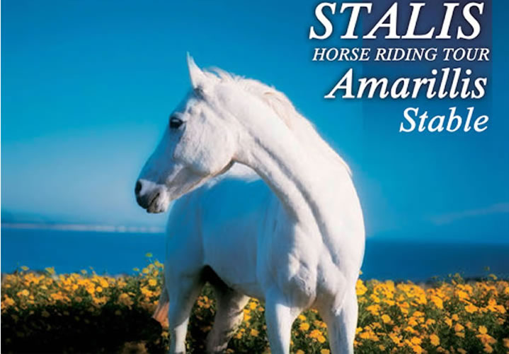 Horse riding experience in Crete with Eye Travel